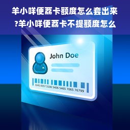羊小咩便荔卡额度怎么套出来?羊小咩便荔卡不提额度怎么办?