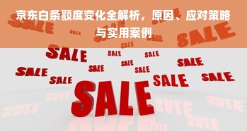 京东白条额度变化全解析，原因、应对策略与实用案例