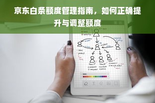 京东白条额度管理指南，如何正确提升与调整额度