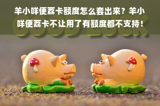 羊小咩便荔卡额度怎么套出来？羊小咩便荔卡不让用了有额度都不支持！