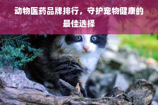 动物医药品牌排行，守护宠物健康的最佳选择