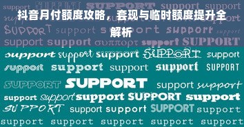 抖音月付额度攻略，套现与临时额度提升全解析