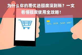 为什么你的鹿优选额度没到账？一文看懂额度使用全攻略！
