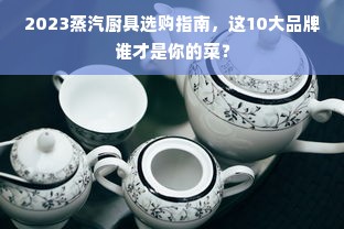 2023蒸汽厨具选购指南，这10大品牌谁才是你的菜？