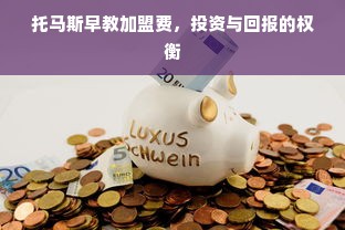 托马斯早教加盟费，投资与回报的权衡