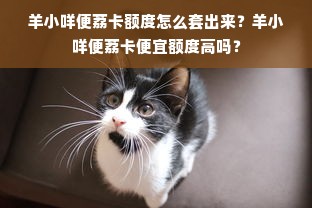 羊小咩便荔卡额度怎么套出来？羊小咩便荔卡便宜额度高吗？