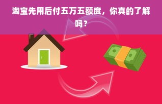淘宝先用后付五万五额度，你真的了解吗？