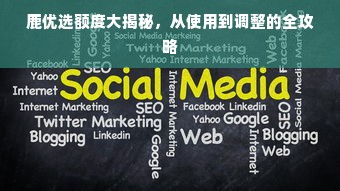 鹿优选额度大揭秘，从使用到调整的全攻略