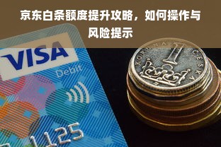 京东白条额度提升攻略，如何操作与风险提示