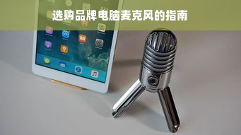 选购品牌电脑麦克风的指南