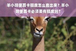 羊小咩便荔卡额度怎么套出来？羊小咩便荔卡必须要有额度吗？
