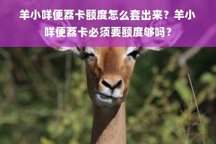 羊小咩便荔卡额度怎么套出来？羊小咩便荔卡必须要额度够吗？