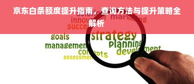 京东白条额度提升指南，查询方法与提升策略全解析