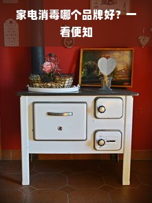 家电消毒哪个品牌好？一看便知