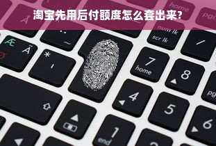 淘宝先用后付额度怎么套出来?