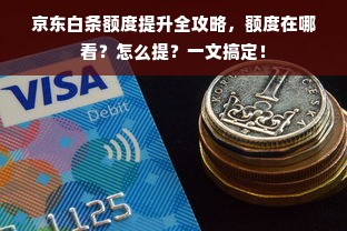 京东白条额度提升全攻略，额度在哪看？怎么提？一文搞定！