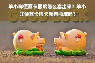 羊小咩便荔卡额度怎么套出来？羊小咩便荔卡绑卡就有额度吗？