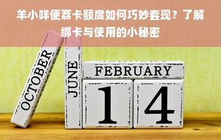羊小咩便荔卡额度如何巧妙套现？了解绑卡与使用的小秘密