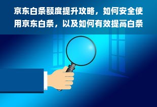 京东白条额度提升攻略，如何安全使用京东白条，以及如何有效提高白条额度