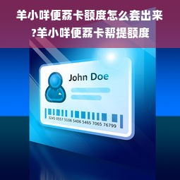 羊小咩便荔卡额度怎么套出来?羊小咩便荔卡帮提额度