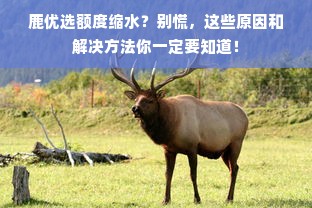 鹿优选额度缩水？别慌，这些原因和解决方法你一定要知道！