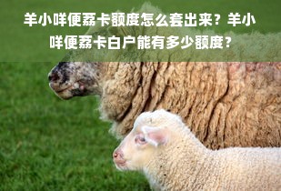 羊小咩便荔卡额度怎么套出来？羊小咩便荔卡白户能有多少额度？