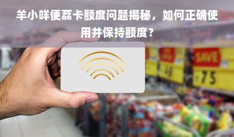 羊小咩便荔卡额度问题揭秘，如何正确使用并保持额度？