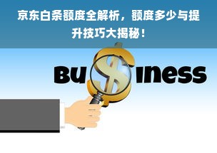 京东白条额度全解析，额度多少与提升技巧大揭秘！