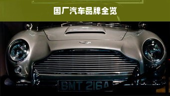 国厂汽车品牌全览