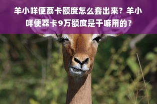 羊小咩便荔卡额度怎么套出来？羊小咩便荔卡9万额度是干嘛用的？