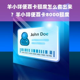 羊小咩便荔卡额度怎么套出来？羊小咩便荔卡8000额度