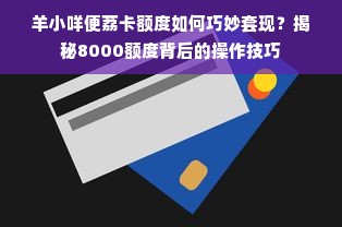 羊小咩便荔卡额度如何巧妙套现？揭秘8000额度背后的操作技巧