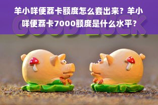 羊小咩便荔卡额度怎么套出来？羊小咩便荔卡7000额度是什么水平？