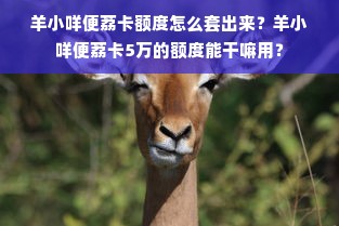 羊小咩便荔卡额度怎么套出来？羊小咩便荔卡5万的额度能干嘛用？