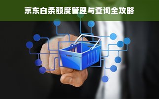 京东白条额度管理与查询全攻略