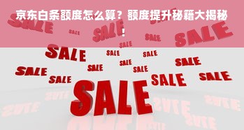 京东白条额度怎么算？额度提升秘籍大揭秘！