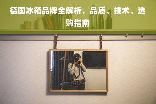 德国冰箱品牌全解析，品质、技术、选购指南