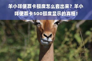 羊小咩便荔卡额度怎么套出来？羊小咩便荔卡500额度显示的真相！