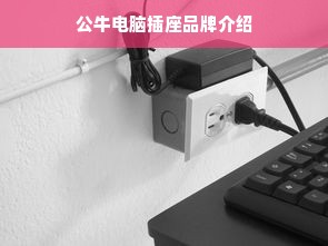 公牛电脑插座品牌介绍