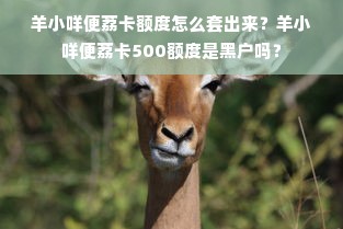 羊小咩便荔卡额度怎么套出来？羊小咩便荔卡500额度是黑户吗？