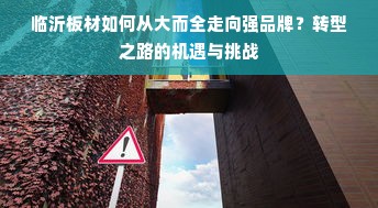 临沂板材如何从大而全走向强品牌？转型之路的机遇与挑战