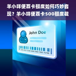 羊小咩便荔卡额度如何巧妙套现？羊小咩便荔卡500额度截图详解