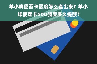 羊小咩便荔卡额度怎么套出来？羊小咩便荔卡500额度多久提额？