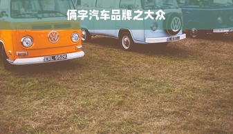 俩字汽车品牌之大众