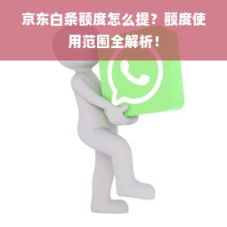 京东白条额度怎么提？额度使用范围全解析！