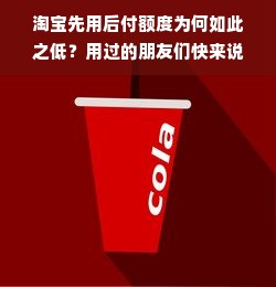 淘宝先用后付额度为何如此之低？用过的朋友们快来说说你们的经历！