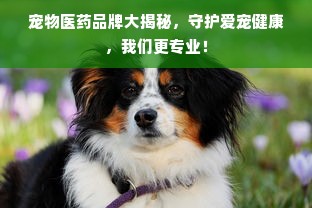 宠物医药品牌大揭秘，守护爱宠健康，我们更专业！