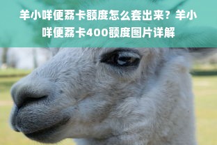 羊小咩便荔卡额度怎么套出来？羊小咩便荔卡400额度图片详解