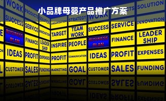 小品牌母婴产品推广方案