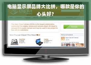 电脑显示屏品牌大比拼，哪款是你的心头好？